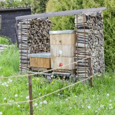 Bylinková zahrada kouzelné bylinky Český Krumlov