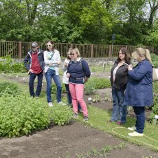 Bylinková zahrada Hradec Králové (Botanická zahrada léčivých rostlin FF UK Hradec Králové)