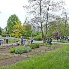 Bylinková zahrada Hradec Králové (Botanická zahrada léčivých rostlin FF UK Hradec Králové)