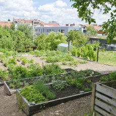 Bylinková zahrada Brno - Otevřená zahrada, Údolní ulice