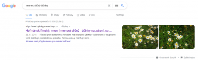 1652423550_rmenec-slicny-ucinky-pouziti-vyuziti-pestovani-informace.png