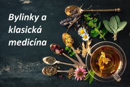 bylinarstvi verzus klasicka medicina kdy pouzivat byliny prevence lecba zavazne nemoci