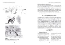 domaci-lekar-2-mudr-alena-hamplovai-4