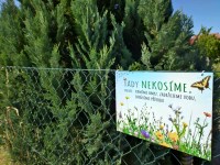 tady-nekosime